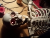 20150828_175433 20150828_175433